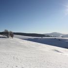 Schneelandschaft Schwarzwald (Schauinsland)