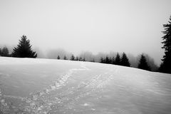 schneelandschaft vogelsberg