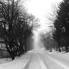 schneelandschaft vogelsberg