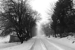 schneelandschaft vogelsberg