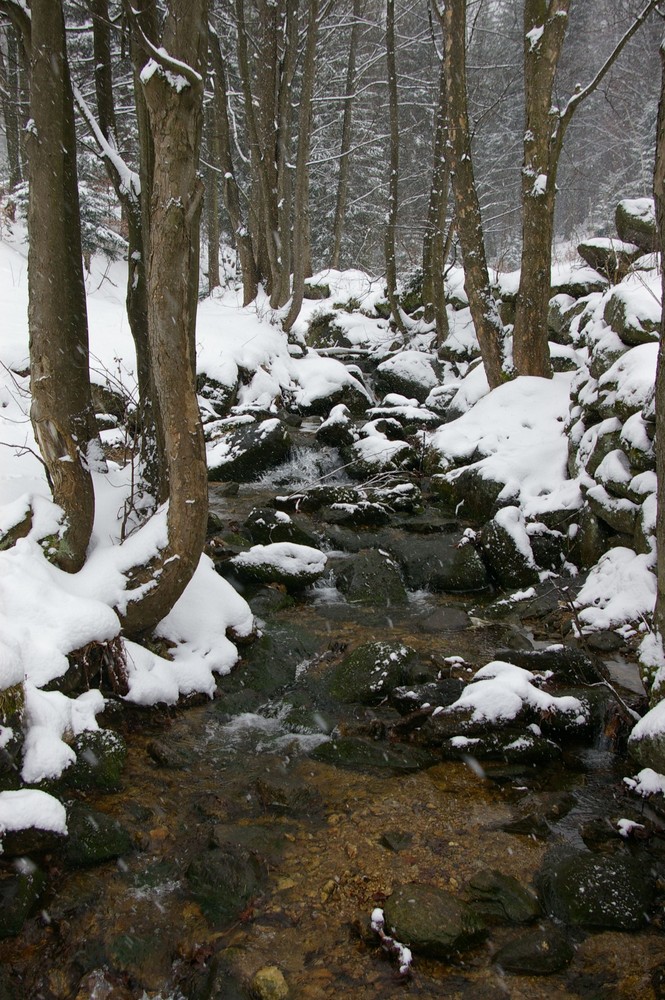 Schneelandschaft zu Ostern