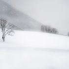 Schneelandschaft(1)