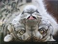 Schneeleopard - Gemälde von Birgit Eggert 