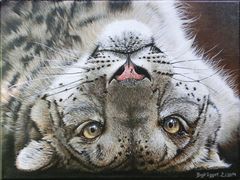 Schneeleopard - Gemälde
