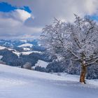 Schneelieferung angekommen