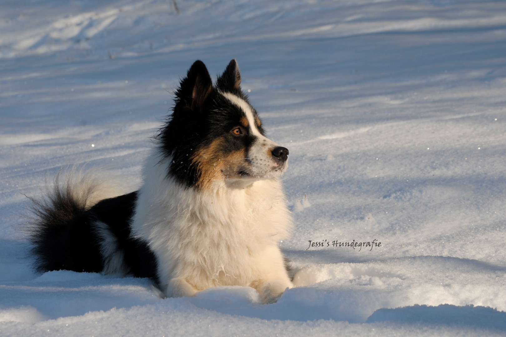 "SchneElo" Wetter