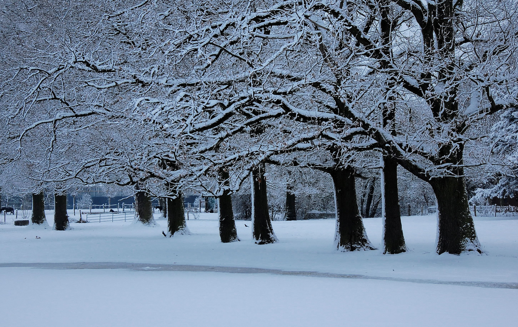 Schneeluft