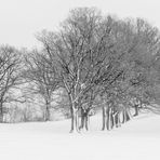 Schneeluft
