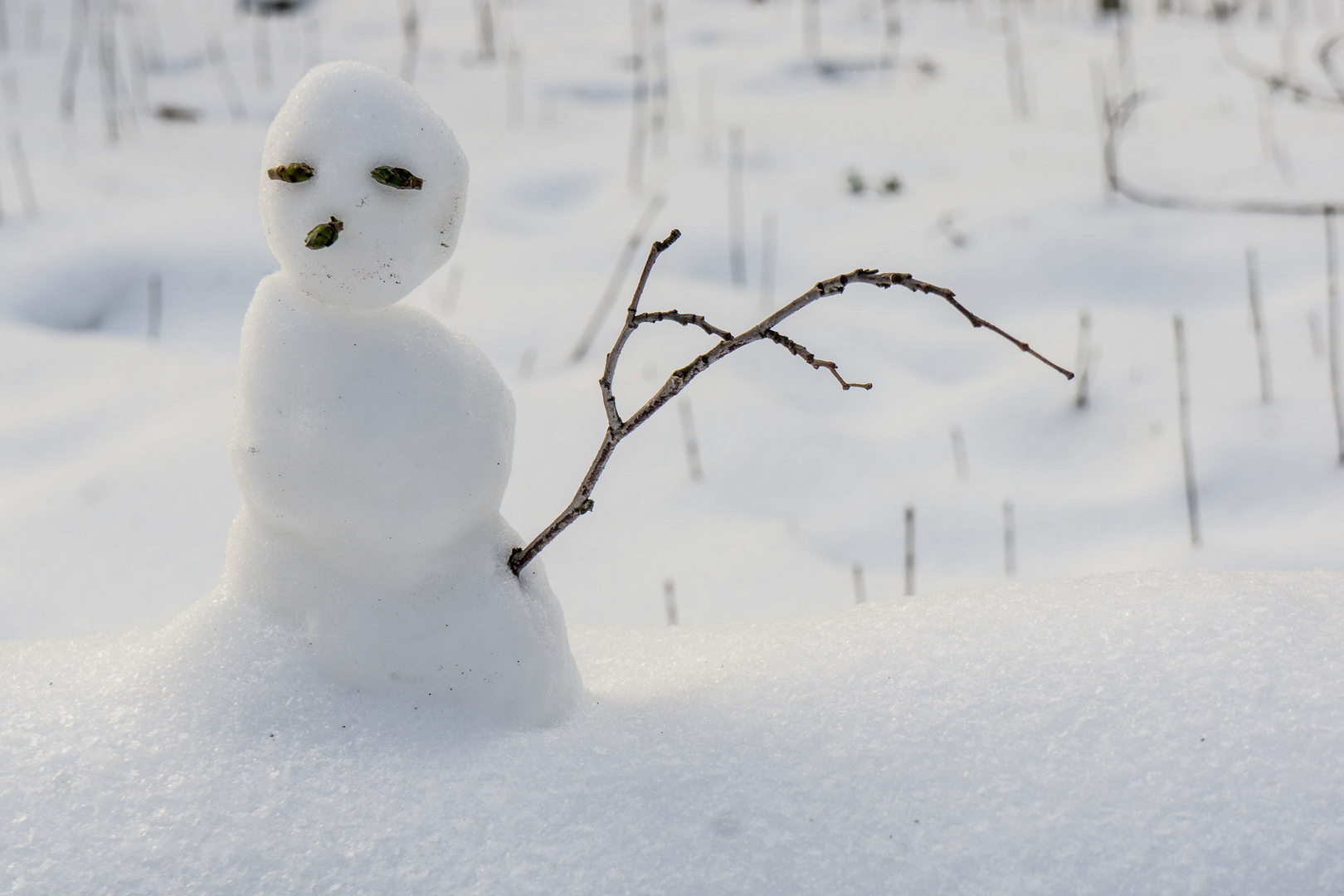 Schneemänchen