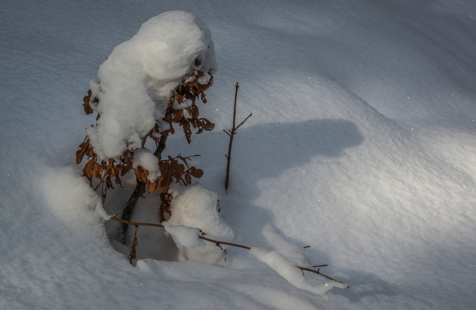 Schneemännchen ?