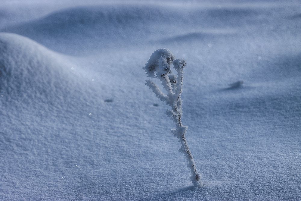 Schneemännchen