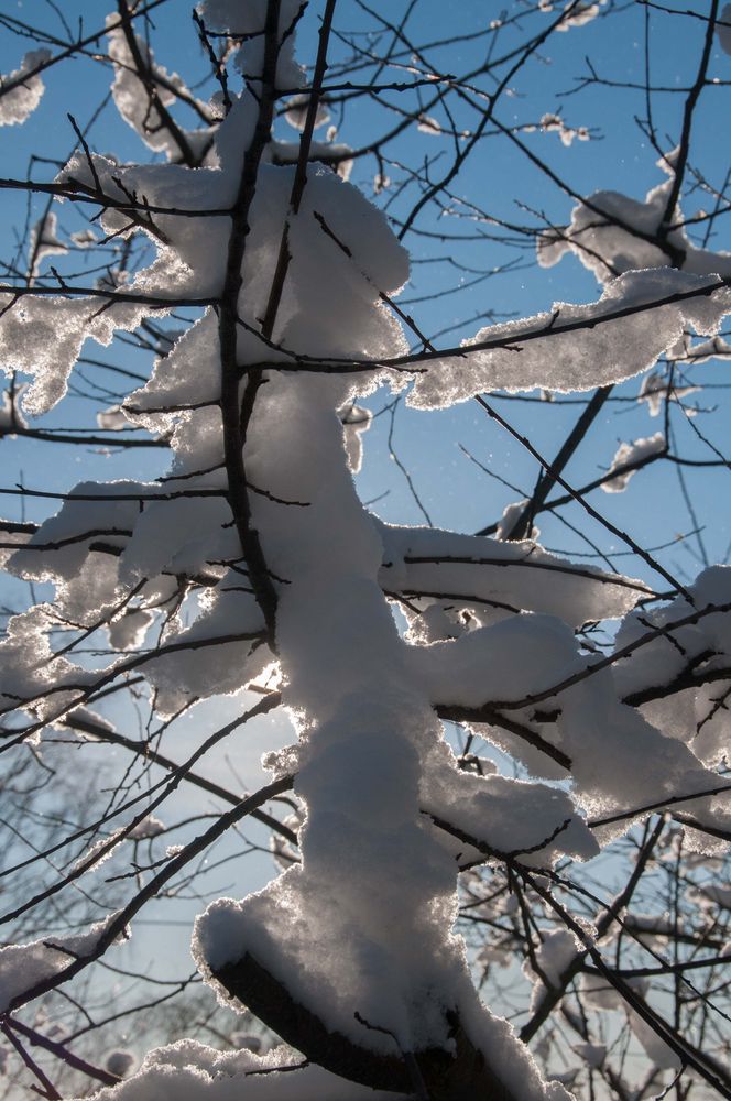 Schneemännchen, gefangen