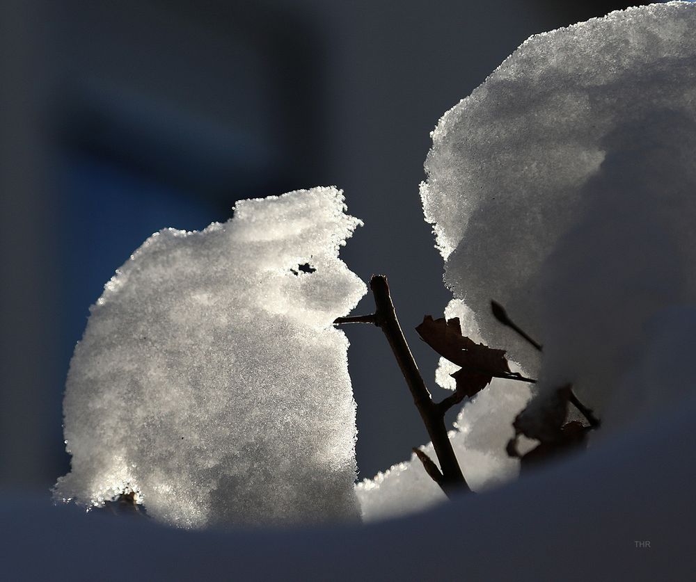 Schneemännchen im Gegenlicht