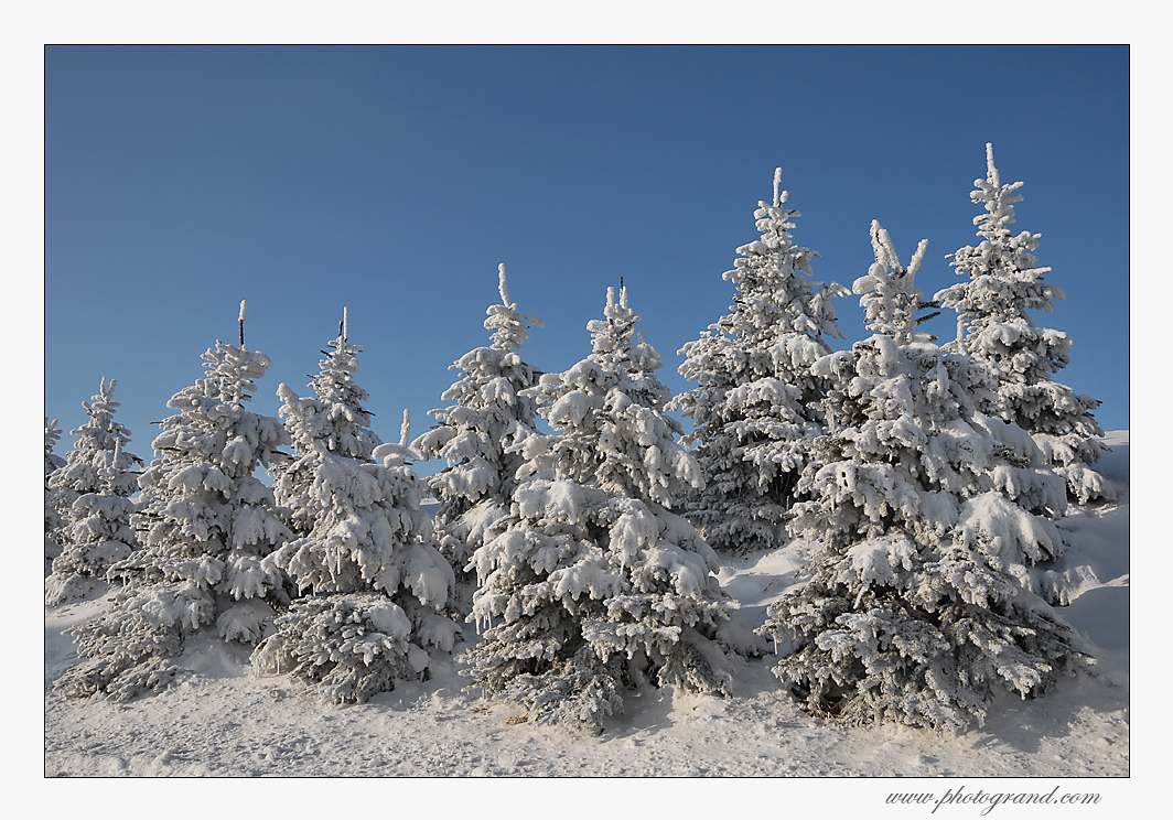 Schneemänner