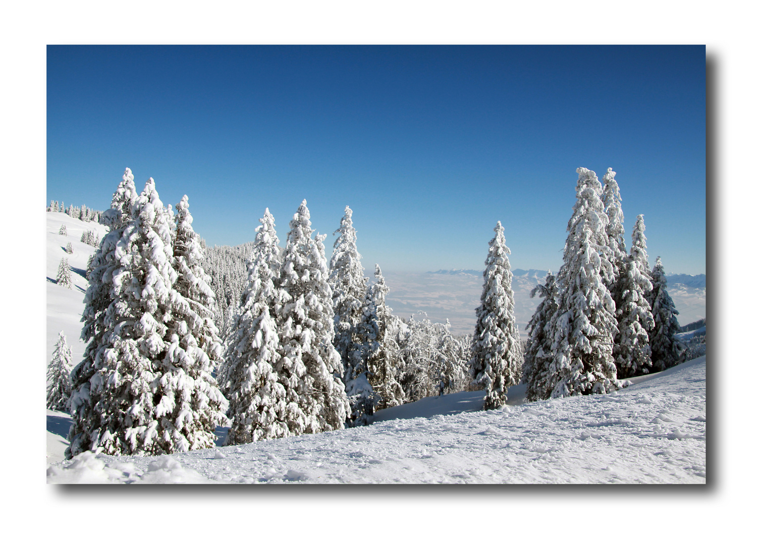 SchneeMÄNNER