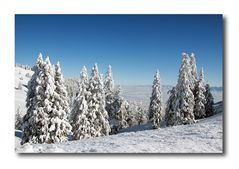 SchneeMÄNNER