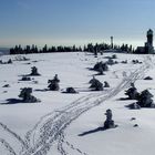 Schneemänner auf der Hornisgrinde