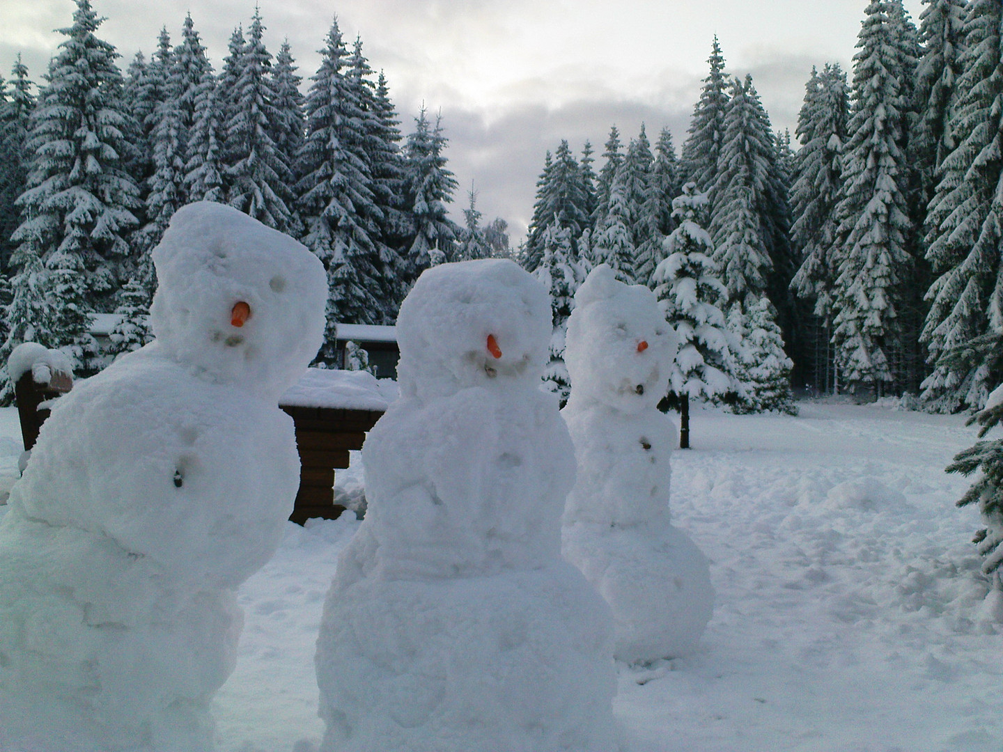 Schneemänner im Oktober (Rabenberg/Erzgebirge)