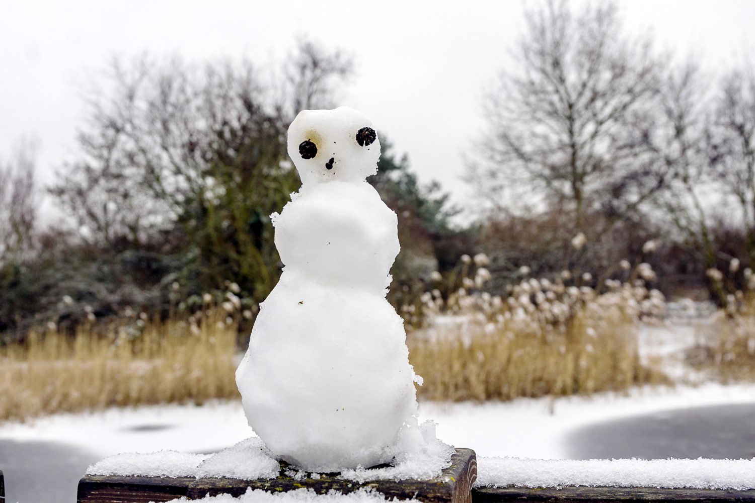 Schneemännle ...