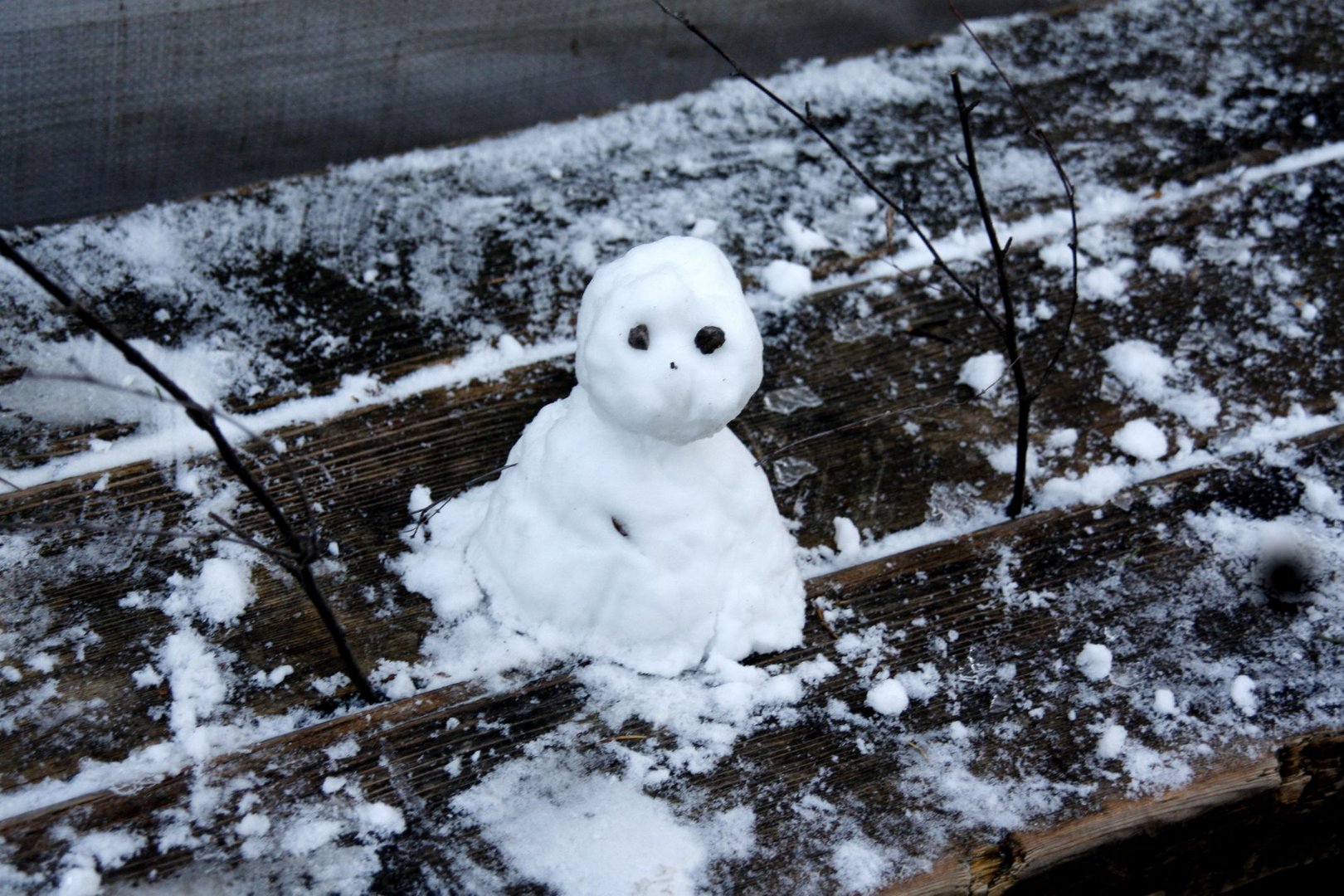 Schneemännlein