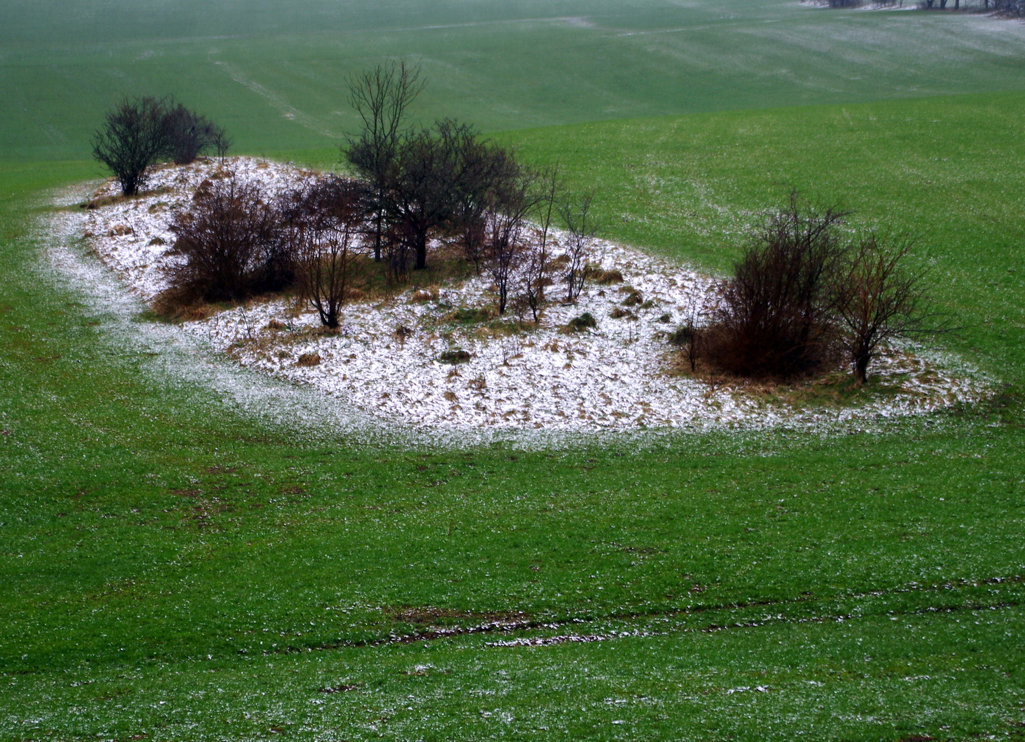 Schneemalerei auf der Schwäbischen Alb