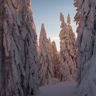 "Schneemandl" im Bayerischen Wald