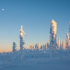 "Schneemandl" im Bayerischen Wald