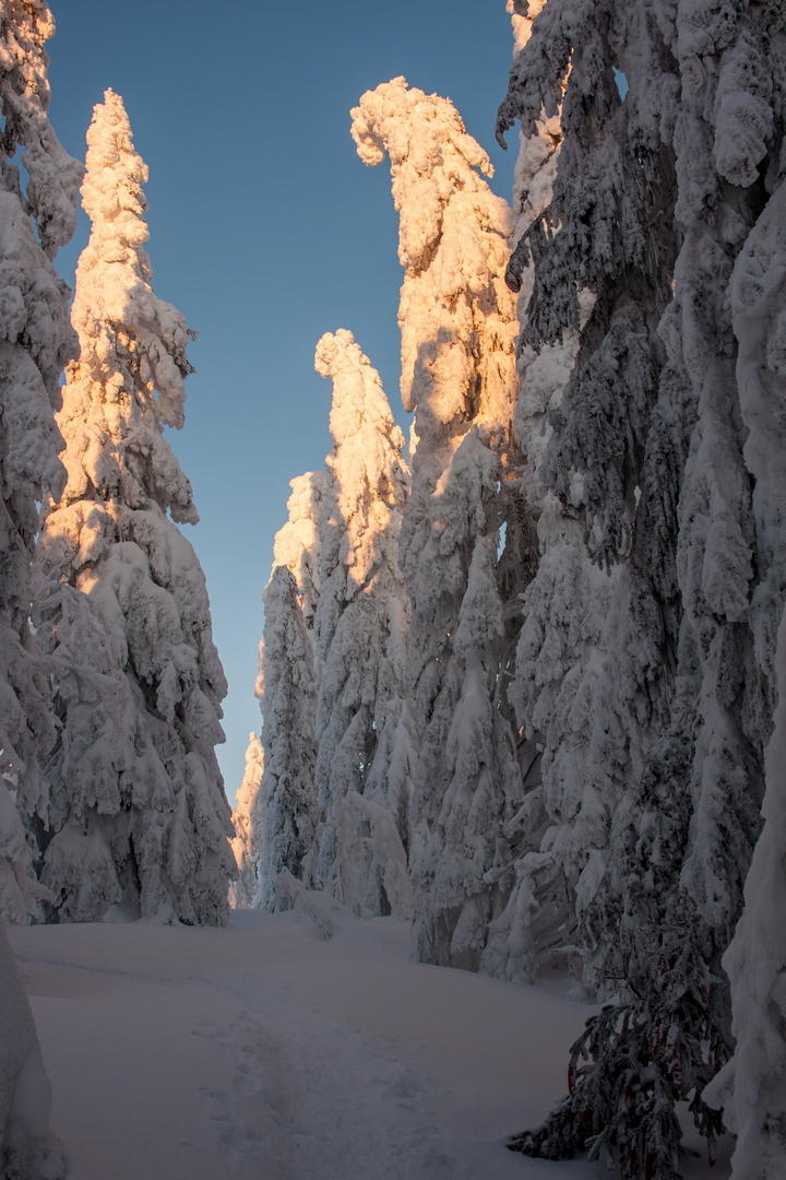 "Schneemandl" im Bayerischen Wald