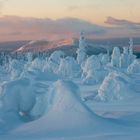 "Schneemandl" im Bayerischen Wald