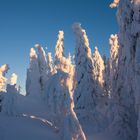 "Schneemandl" im Bayerischen Wald