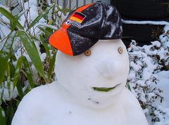 Schneemann 2010