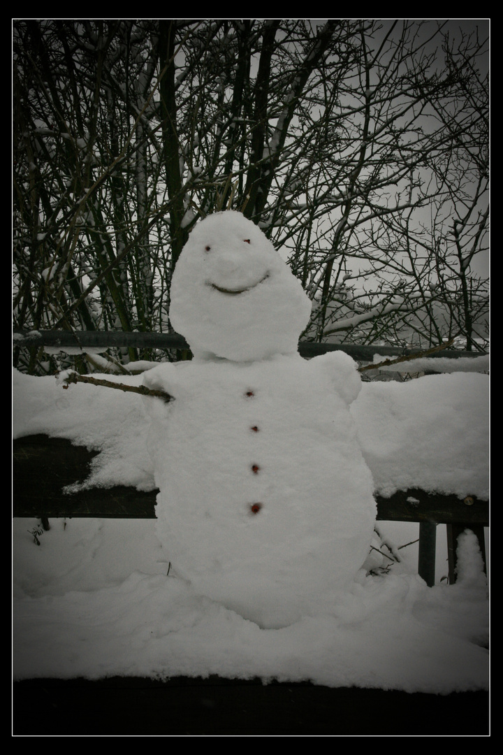 Schneemann 2010