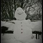 Schneemann 2010