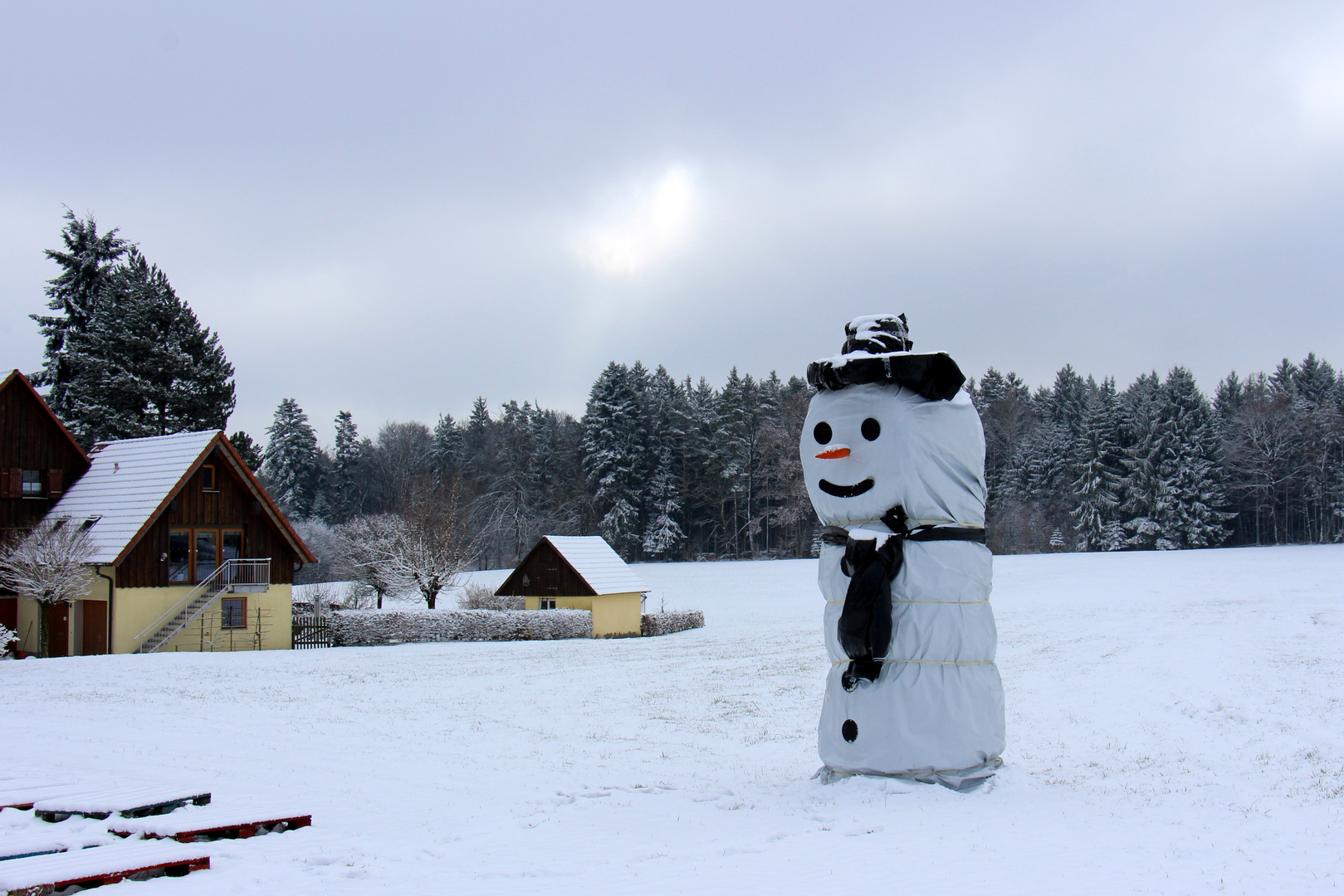 Schneemann 2018