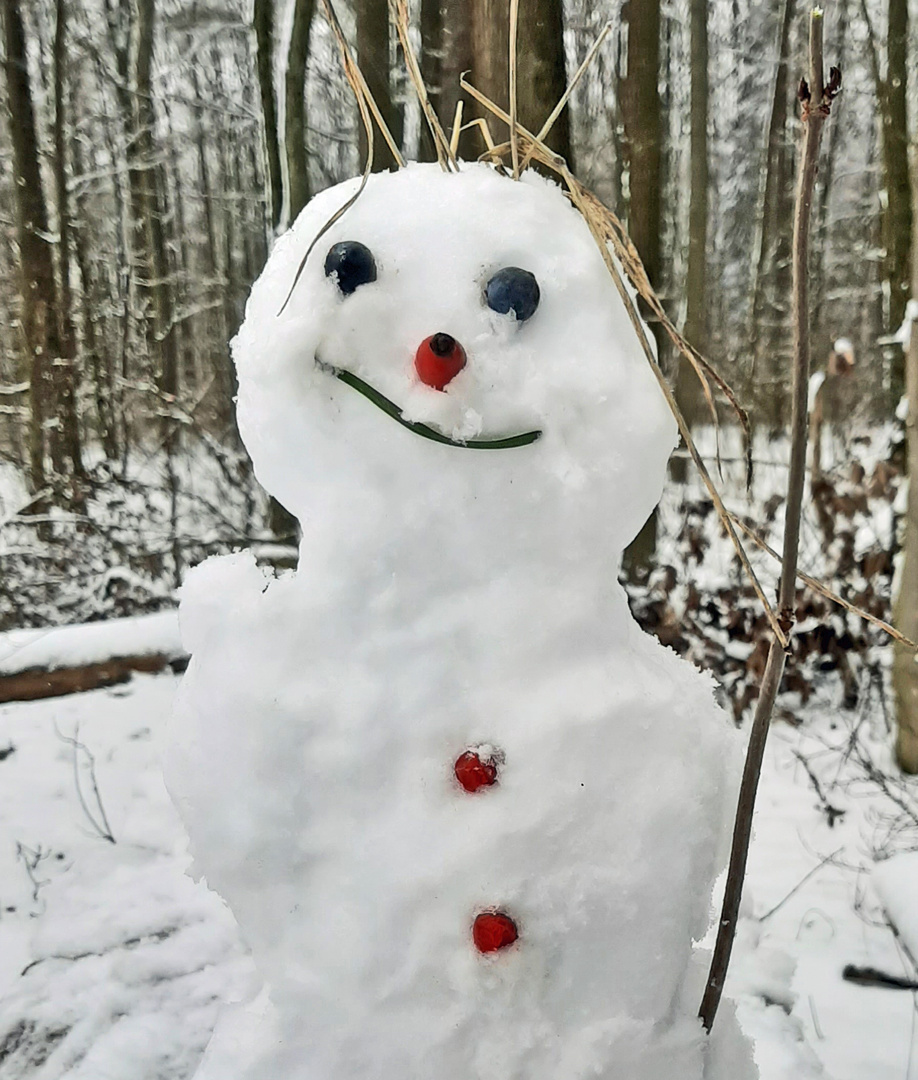 Schneemann