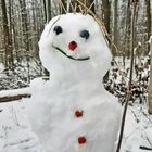 Schneemann