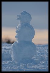 - SCHNEEMANN -