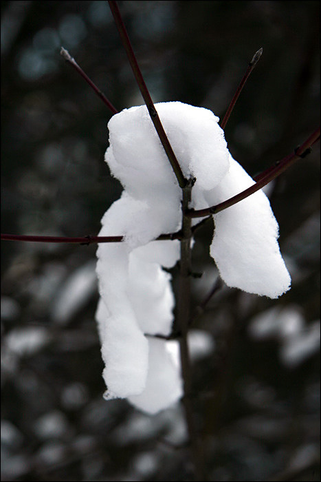 Schneemann beim Abhängen