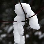 Schneemann beim Abhängen