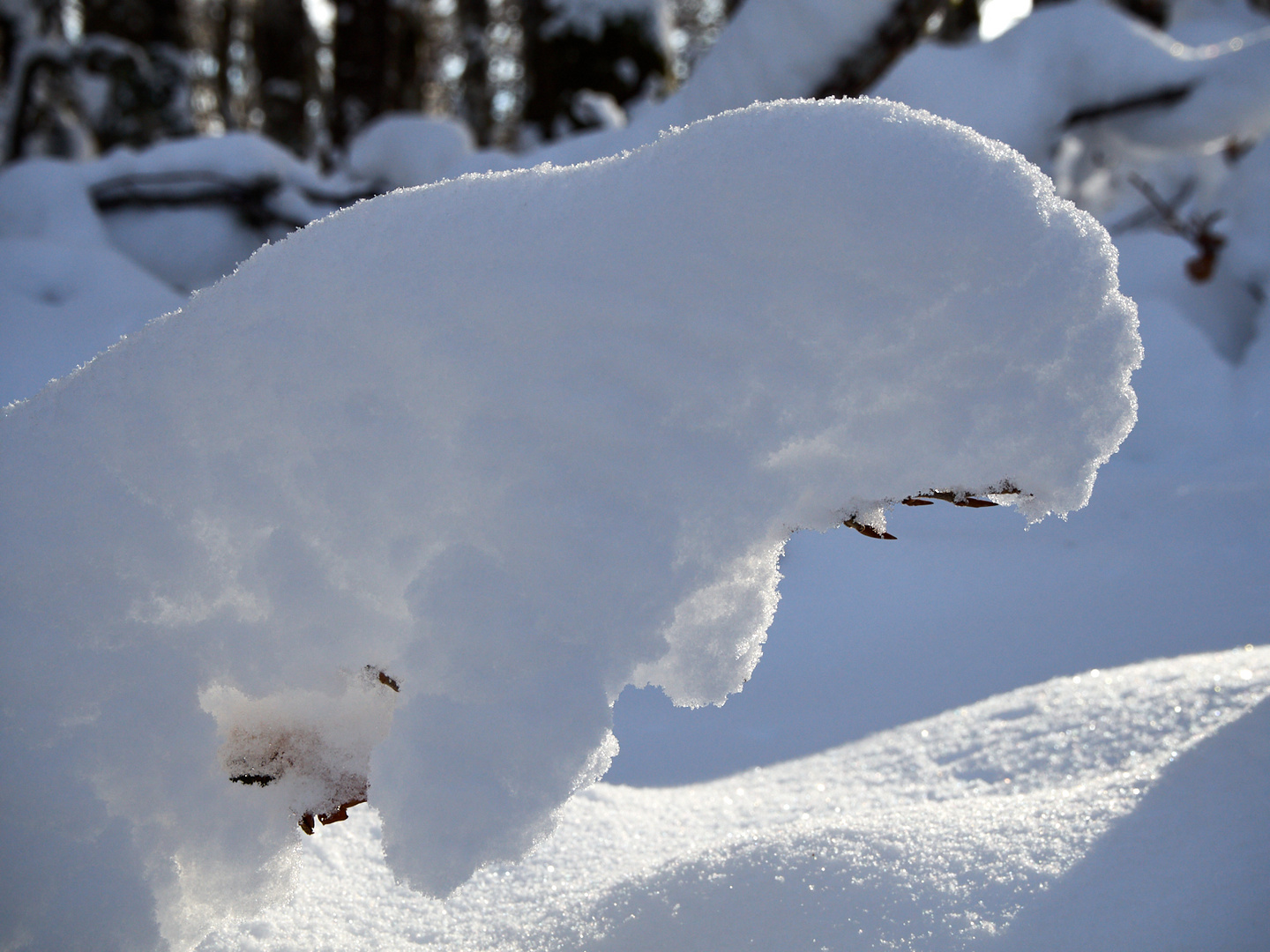 Schneemann