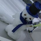 Schneemann Erwin