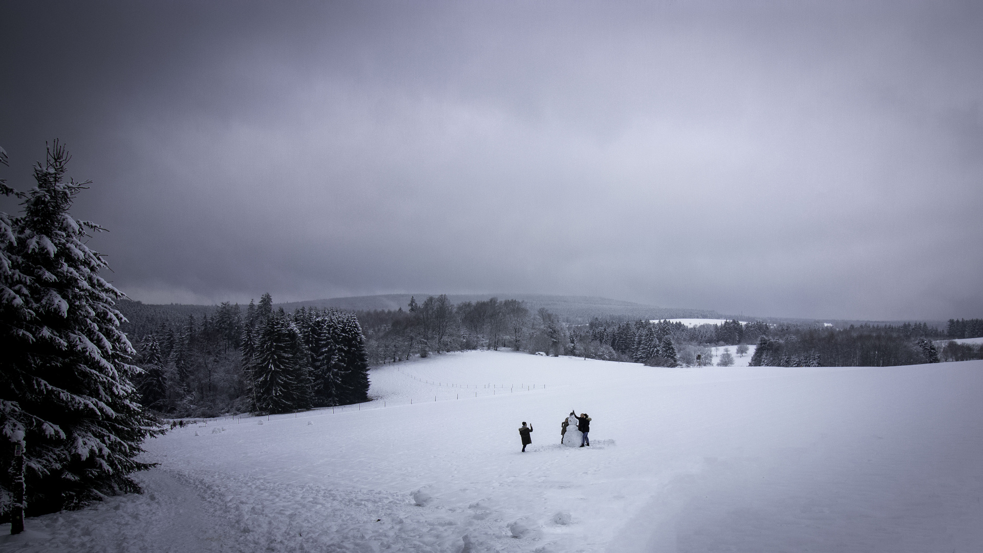 Schneemann für Frau Holle - Traumschleife