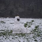 Schneemann im freien Feld