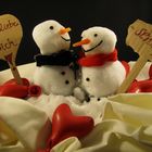 Schneemann in Love*.............eine Winterliebe....