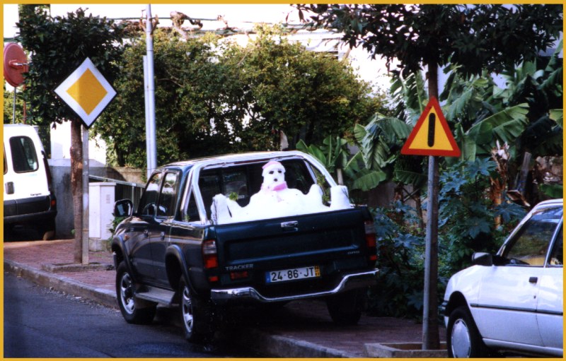 Schneemann mit kurzem Leben