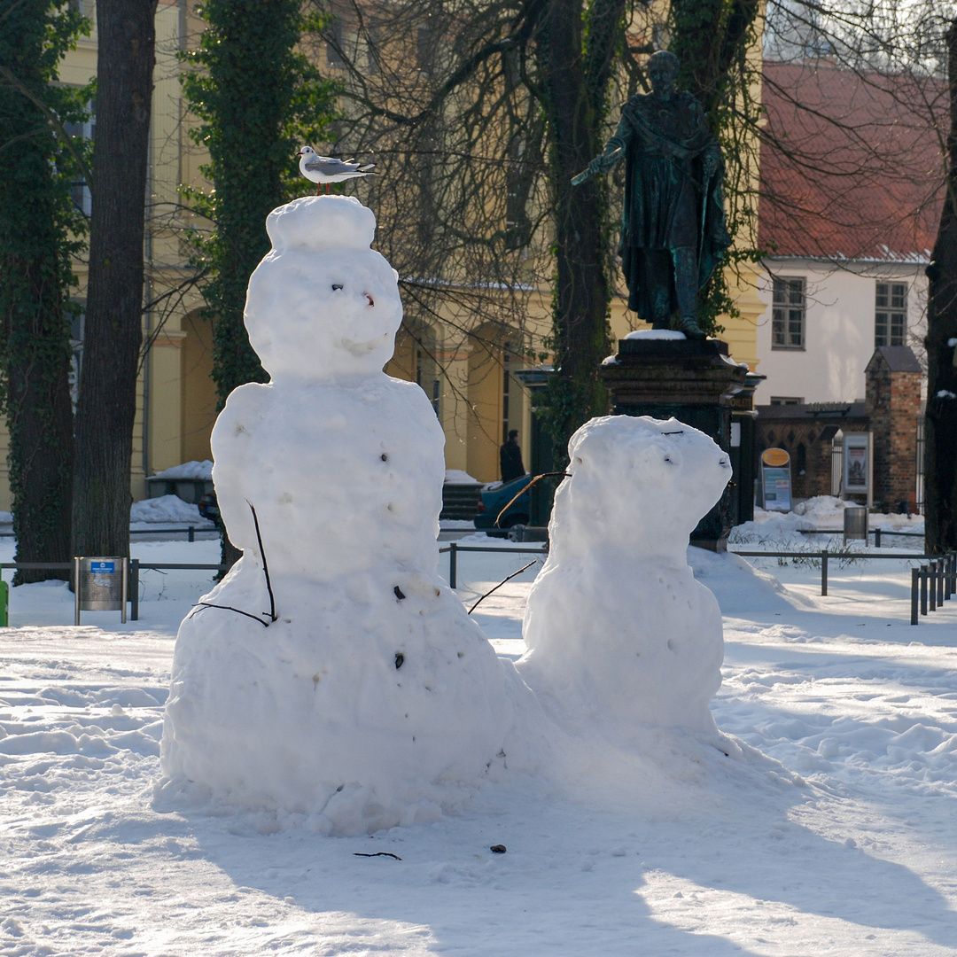 Schneemann mit Möwe