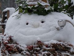 Schneemann Nr.2