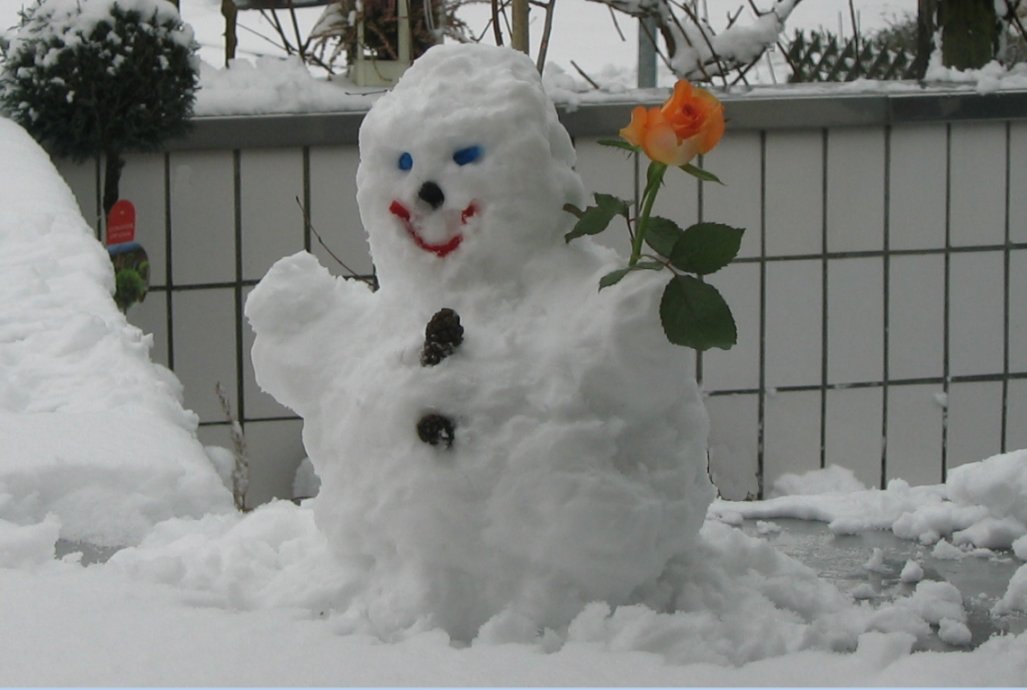 Schneemann zum heutigen Welttag des Schneemann's