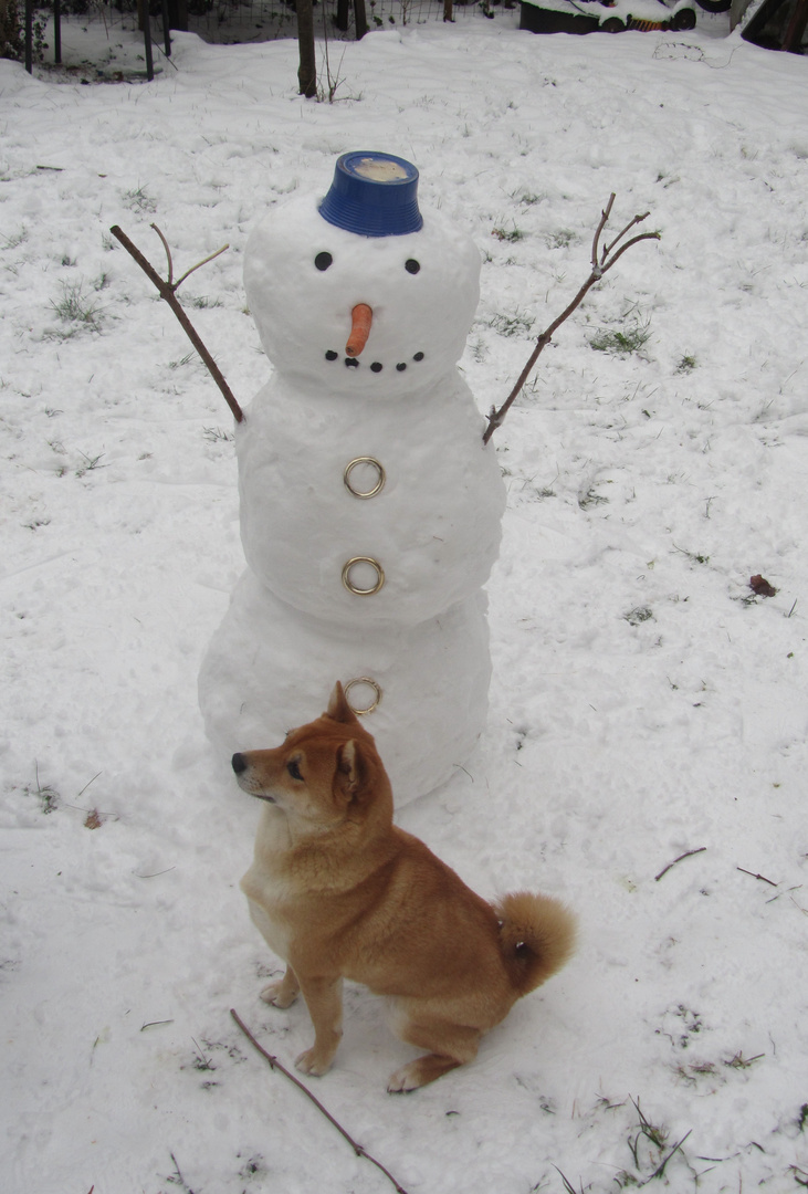 Schneemann,Schneemann,wie siehst du aus?