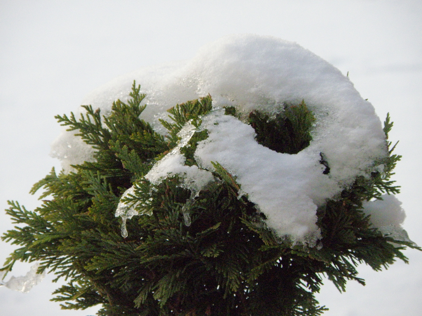 Schneemaske